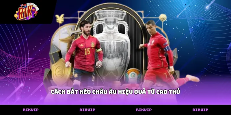 cach bat keo chau au hieu qua tu cao thu