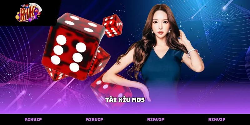 tai xiu md5